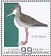 Common Redshank Tringa totanus