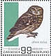 Little Owl Athene noctua  2022 Birds (St Eustatius) 2022 Sheet