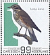 Redwing Turdus iliacus