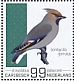 Bohemian Waxwing Bombycilla garrulus