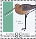 Black-tailed Godwit Limosa limosa  2022 Birds (St Eustatius) 2022 Sheet