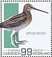 Common Snipe Gallinago gallinago  2022 Birds (St Eustatius) 2022 Sheet