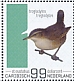 Eurasian Wren Troglodytes troglodytes