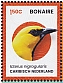 Caribbean Netherlands 2024 Birds of Bonaie Sheet