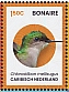 Blue-tailed Emerald Chlorostilbon mellisugus  2024 Birds of Bonaie Sheet