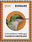 Caribbean Netherlands 2024 Birds of Bonaie Sheet