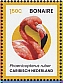 American Flamingo Phoenicopterus ruber  2024 Birds of Bonaie Sheet