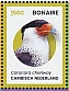 Crested Caracara Caracara plancus  2024 Birds of Bonaie Sheet