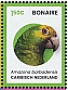 Yellow-shouldered Amazon Amazona barbadensis  2024 Birds of Bonaie Sheet