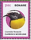 Bananaquit Coereba flaveola  2024 Birds of Bonaie Sheet