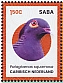 Scaly-naped Pigeon Patagioenas squamosa  2024 Birds of Saba Sheet