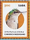 Antillean Crested Hummingbird Orthorhyncus cristatus  2024 Birds of Saba Sheet