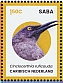 Caribbean Netherlands 2024 Birds of Saba Sheet