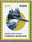 Belted Kingfisher Megaceryle alcyon