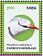 Red-billed Tropicbird Phaethon aethereus  2024 Birds of Saba Sheet