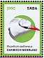 Caribbean Netherlands 2024 Birds of Saba Sheet