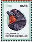 Caribbean Netherlands 2024 Birds of Saba Sheet