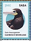 Brown Booby Sula leucogaster  2024 Birds of Saba Sheet