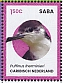 Audubon's Shearwater Puffinus lherminieri  2024 Birds of Saba Sheet
