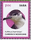 Caribbean Netherlands 2024 Birds of Saba Sheet