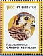 American Kestrel Falco sparverius  2024 Birds of St Eustatius Sheet