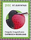 Magnificent Frigatebird Fregata magnificens  2024 Birds of St Eustatius Sheet