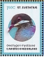 Bridled Quail-Dove Geotrygon mystacea  2024 Birds of St Eustatius Sheet