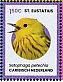 Mangrove Warbler Setophaga petechia  2024 Birds of St Eustatius Sheet