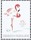 American Flamingo Phoenicopterus ruber