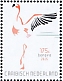 American Flamingo Phoenicopterus ruber