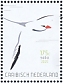 Red-billed Tropicbird Phaethon aethereus