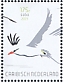 Red-billed Tropicbird Phaethon aethereus