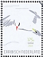 Red-billed Tropicbird Phaethon aethereus