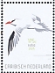 Red-billed Tropicbird Phaethon aethereus