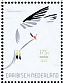 Red-billed Tropicbird Phaethon aethereus