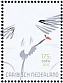 Red-billed Tropicbird Phaethon aethereus
