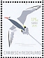 Red-billed Tropicbird Phaethon aethereus