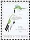 Antillean Crested Hummingbird Orthorhyncus cristatus