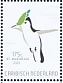 Antillean Crested Hummingbird Orthorhyncus cristatus
