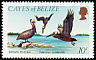 Brown Pelican Pelecanus occidentalis  1984 Marine life 9v set
