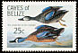 Blue-winged Teal Spatula discors  1985 Audubon 