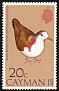 Caribbean Dove Leptotila jamaicensis  1975 Birds 