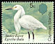 Snowy Egret Egretta thula