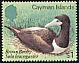 Brown Booby Sula leucogaster  1984 Birds of the Cayman Islands 