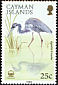 Tricolored Heron Egretta tricolor  1988 Herons 