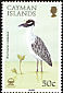 Yellow-crowned Night Heron Nyctanassa violacea  1988 Herons 