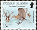 West Indian Whistling Duck Dendrocygna arborea  1994 Black-billed Whistling Duck 