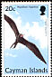 Magnificent Frigatebird Fregata magnificens  1998 Birds 
