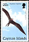 Magnificent Frigatebird Fregata magnificens