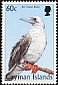 Red-footed Booby Sula sula  1998 Birds 